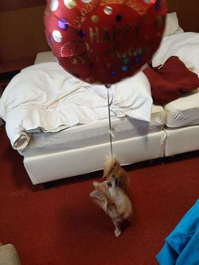 23. Handy Foto-Challenge-Beitrag-Bild