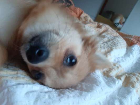 Relaxen im bett-Beitrag-Bild