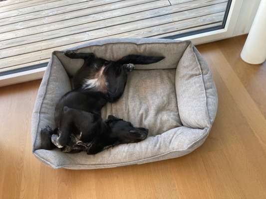 Verrückte Schlafpositionen-Beitrag-Bild