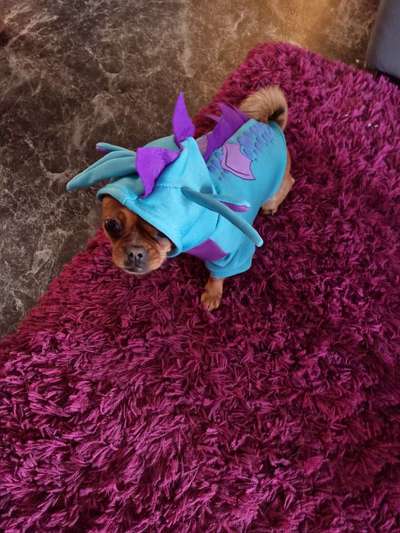 Erstes Bild-Beitrag-Bild