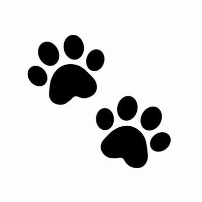 Hundetreffen-Pfotentreff-Bild