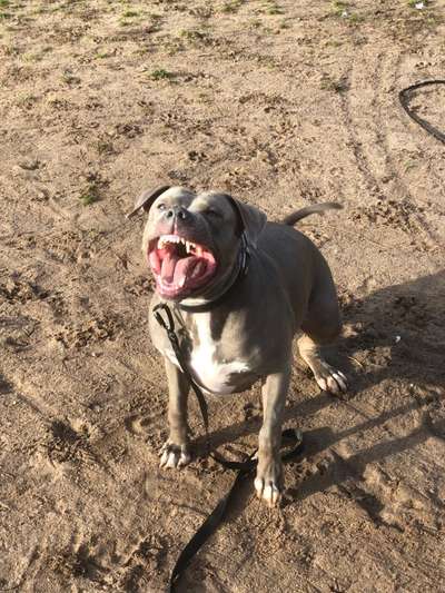 Her mit dem Grimassen-Beitrag-Bild