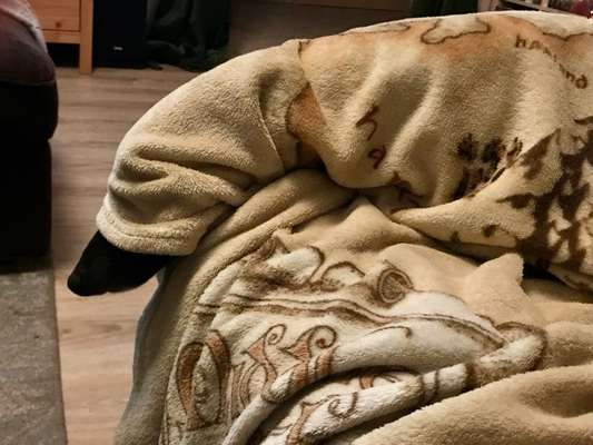 Challenge 21 - wo bin ich : )-Beitrag-Bild