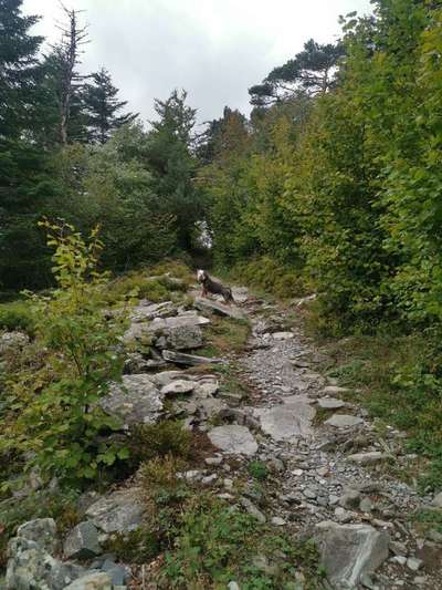 Fotochallenge Nr.100 Urlaubsimpressionen-Beitrag-Bild