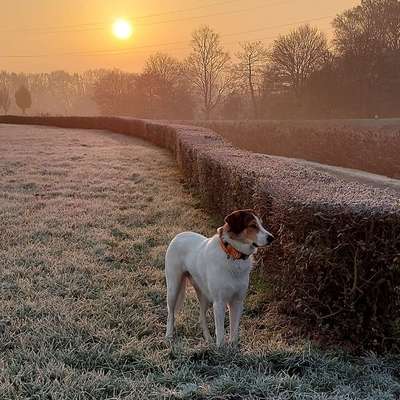 Manuela's Profilbild