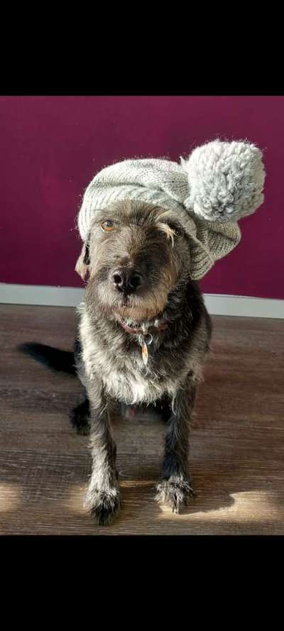 Fotochallenge Nr. 56 - geliebte Senioren-Beitrag-Bild