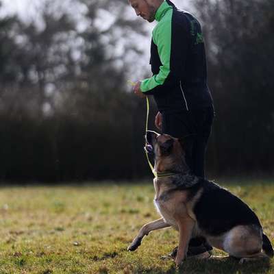 Giftköder-Einzeltraining-Bild