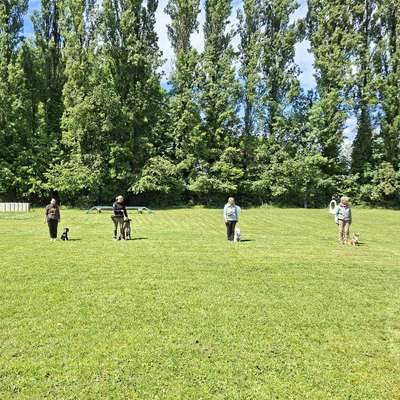 Giftköder-Gruppentraining-Bild