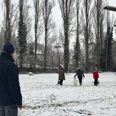 %{de_profession_title}-Gruppentraining-Bild