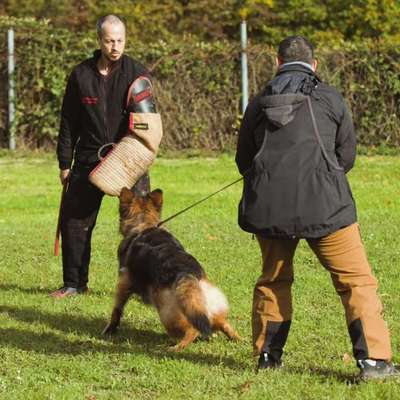 %{de_profession_title}-Ausbildung zu Schutzzwecken-Bild