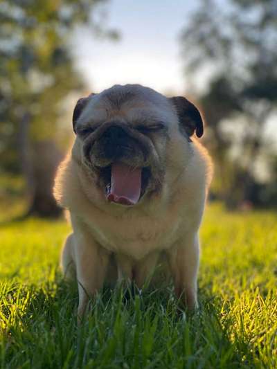 Zeigt eure Portraits-Beitrag-Bild