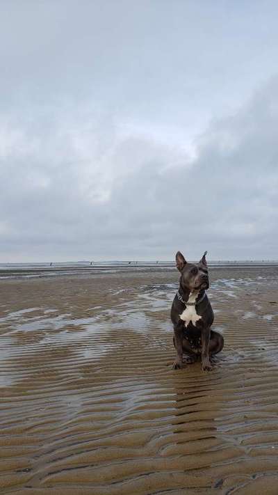 Zeigt eure Portraits-Beitrag-Bild