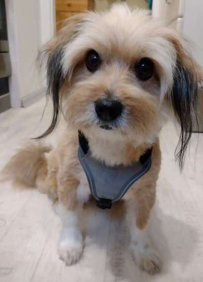 Zeigt eure Portraits-Beitrag-Bild