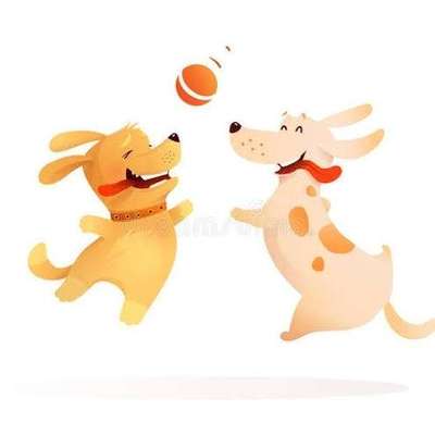 Hundetreffen-Gemeinsames Gassi und Training-Bild