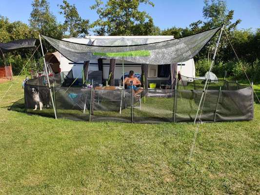 Camping mit Hund/en-Beitrag-Bild