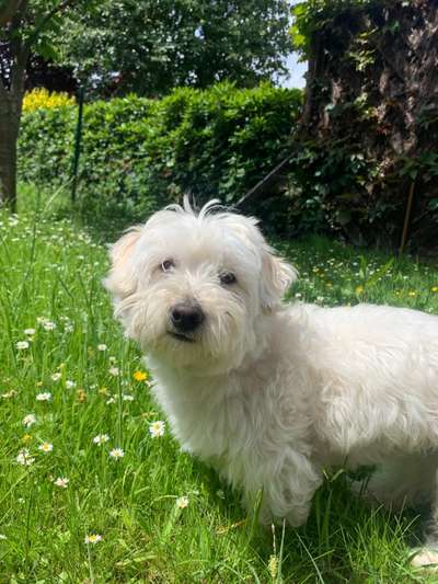 Lieblingsbild :D-Beitrag-Bild