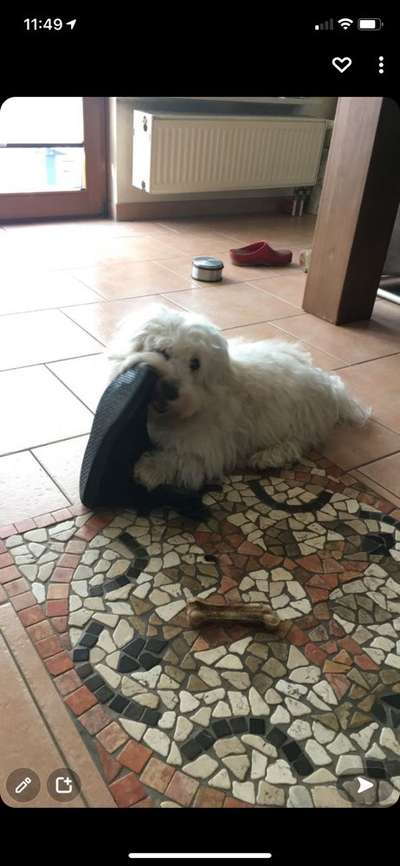 Doppelgänger gesucht !-Beitrag-Bild