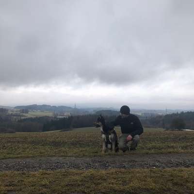 Hundetreffen-Hundetreffen