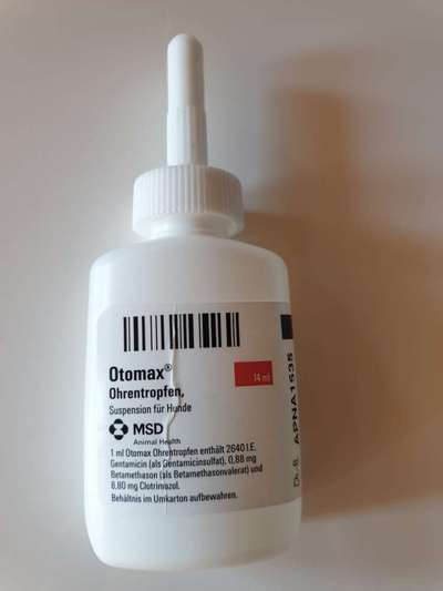 Aufkratze und geleckte Stellen - Akuthilfe, Ursachen usw.-Beitrag-Bild