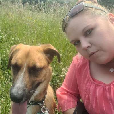 Hundetreffen-Spaziergänge und Spieltreffen-Profilbild