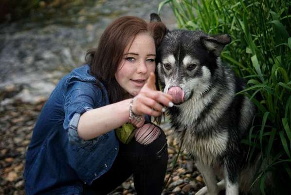 Lustige Bilder-Beitrag-Bild