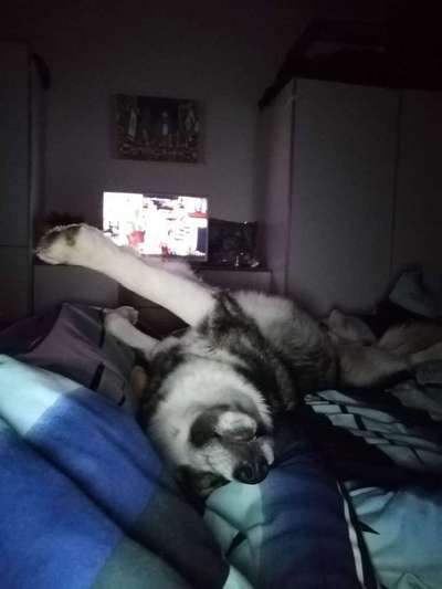 Die unbequemsten und lustigsten Schlafpositionen-Beitrag-Bild