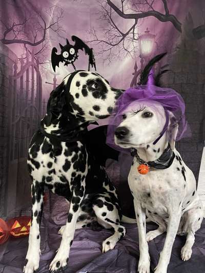 Fotochallange Nr.53 "HALLOWEEN"-Beitrag-Bild