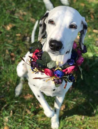 Fotochallange Nr. 57     PORTRÄT.   Beendet!!!!!!!!-Beitrag-Bild