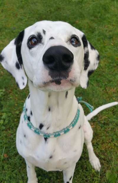 Fotochallenge Nr. 56 - geliebte Senioren-Beitrag-Bild