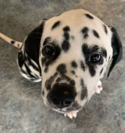 Fotochallange Nr. 57     PORTRÄT.   Beendet!!!!!!!!-Beitrag-Bild