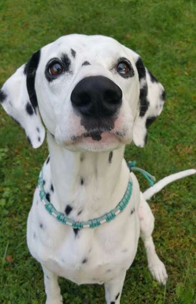 Blick fürs Detail!-Beitrag-Bild