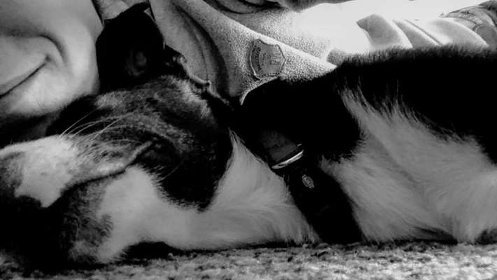 Euer schönstes Bild mit eurem Hund gemeinsam!-Beitrag-Bild