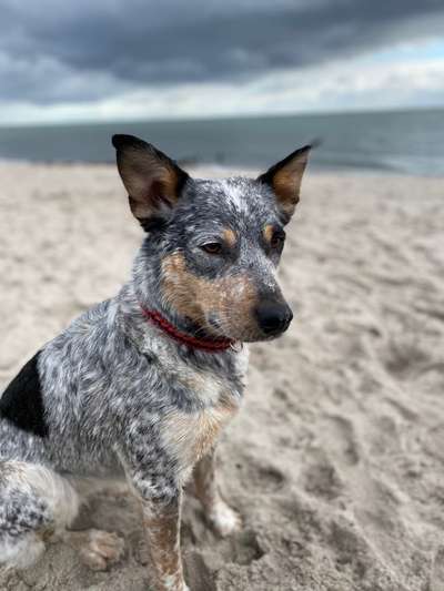 Eure Strandbilder :)-Beitrag-Bild