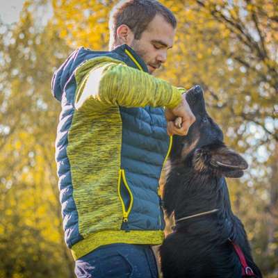 Hundetreffen-Hunde treffen zum Beispiel toben oder gassi gehen-Profilbild