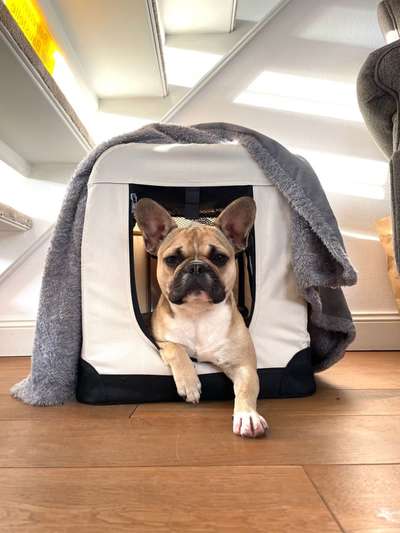 Lieblingsbild-Beitrag-Bild