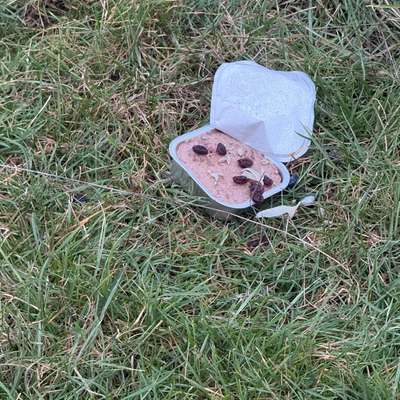 Giftköder-Giftköder-Bild