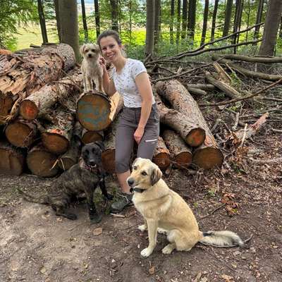 Hundetreffen-Social Walk-Bild