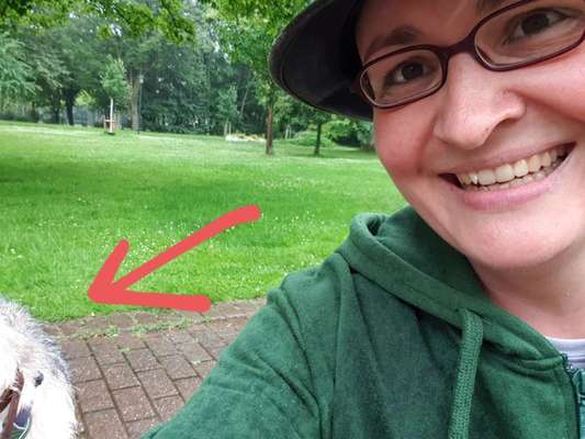 Zeigt eure verrücktesten Hundebilder-Beitrag-Bild