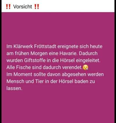 Giftköder-Gewässerverunreinigung!-Bild