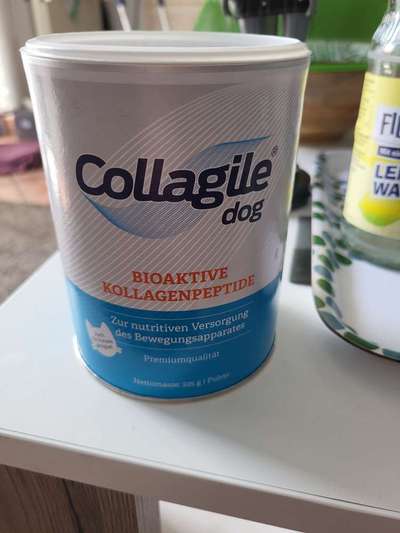 Senioren-Beitrag-Bild