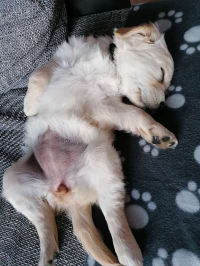 Fotochallenge Nr.65-Beitrag-Bild