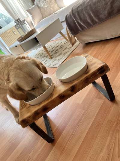 Kreative Napfhalterung-Beitrag-Bild