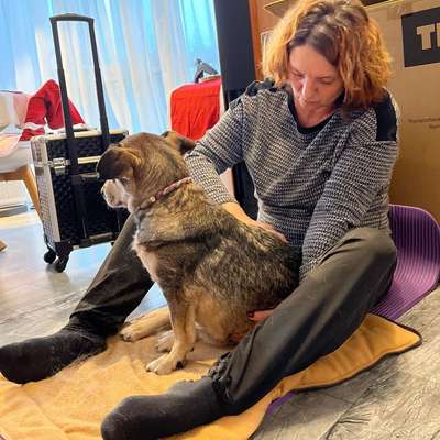 %{de_profession_title}-Mobile Physiotherapie-Bild