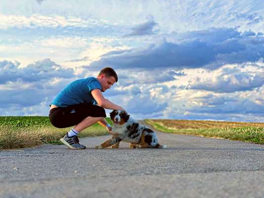 Hundetreffen-Gassi mit dem kleinen Loki-Bild