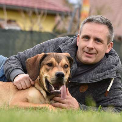 Hundetreffen-Gassirunde  in Großkrotzenburg und Umgebung-Profilbild