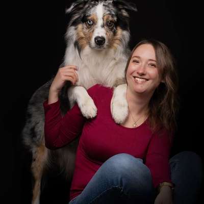 Hundeschulen-Fairytale of Paws-Bild
