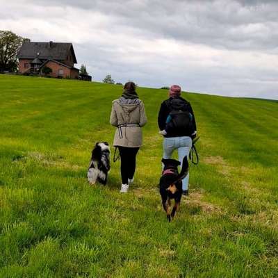 Giftköder-Kennenlern-Spaziergang-Bild