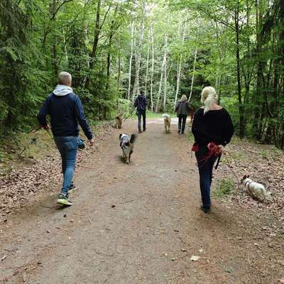 Giftköder-Special-Walks-Bild