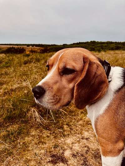 Fotowettbewerb Natur-Beitrag-Bild