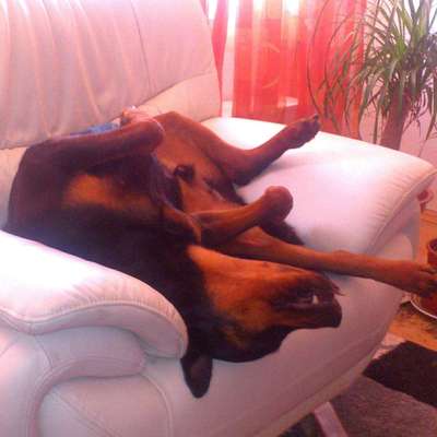 FOTO-Challenge  NR. 91: Die pure Entspannung-Beitrag-Bild